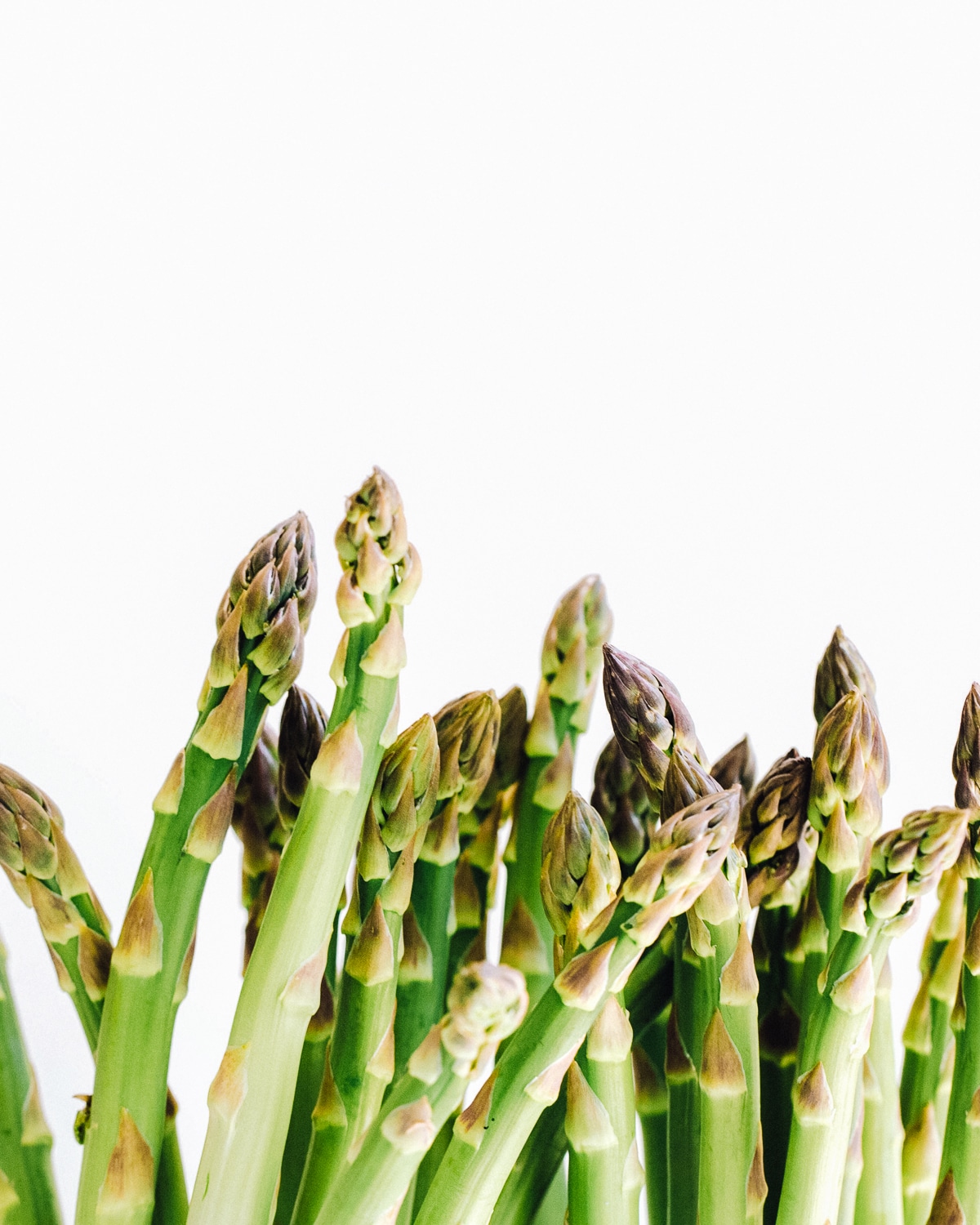 How to Cook Perfect Pan-Fried Asparagus on the Stove - Foodess