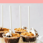 This S'Mores Pops recipe is next-level delicious summer dessert idea that turns classic s'mores into the best s'mores popsicle ever, with layers of ice cream, fudge, and graham crumble.
