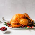 Roast turkey on a serving platter with cranberry sauce.