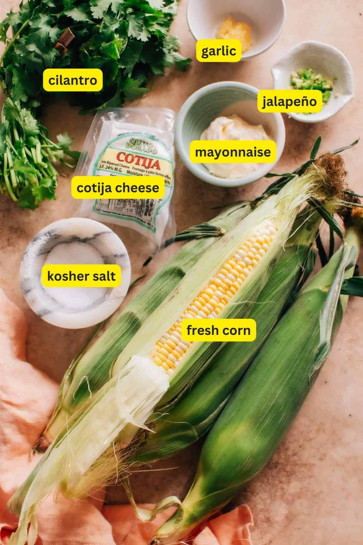 Ingredients for Mexican Street Corn Salad (Esquites) arranged on a kitchen countertop, including cilantro, garlic, jalapeno, Cotija cheese, kosher salt, mayonnaise, and fresh corn.