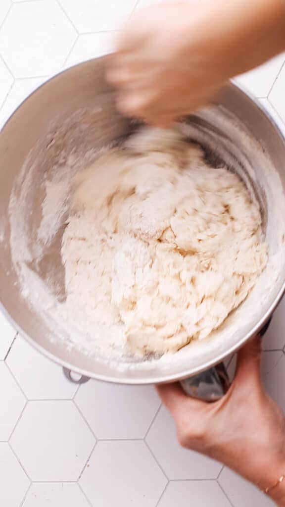 Shaggy dough mixture