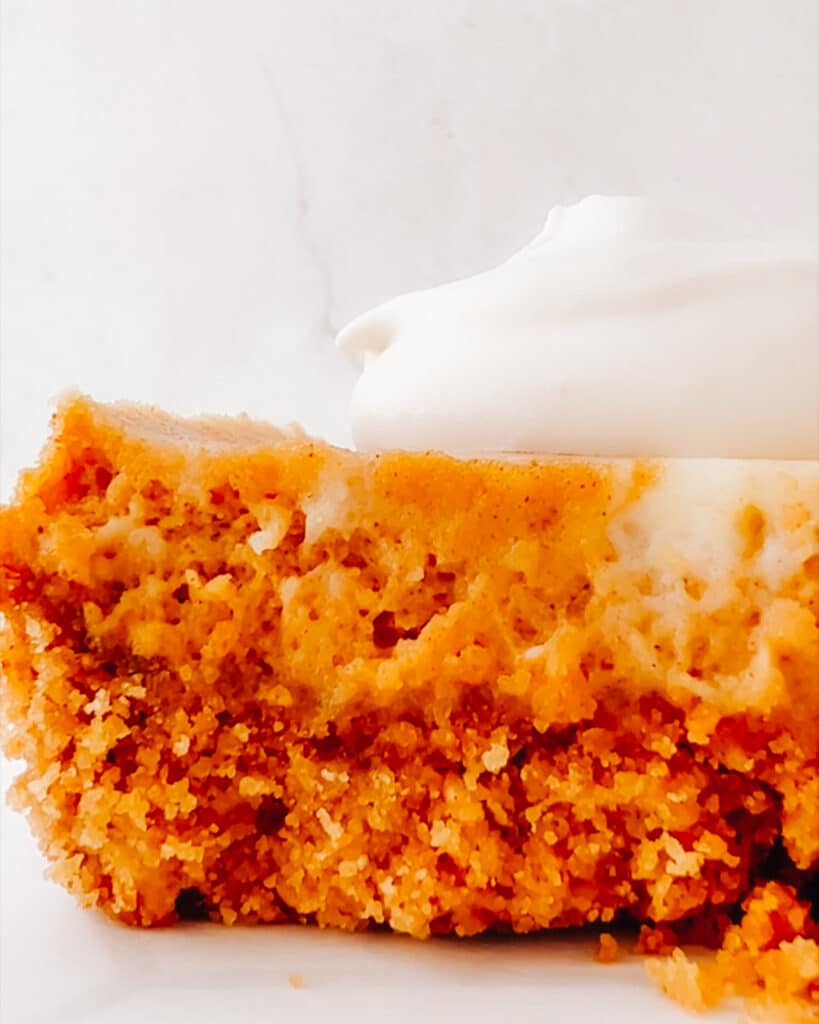 Pumpkin cheesecake bar with whipped cream.