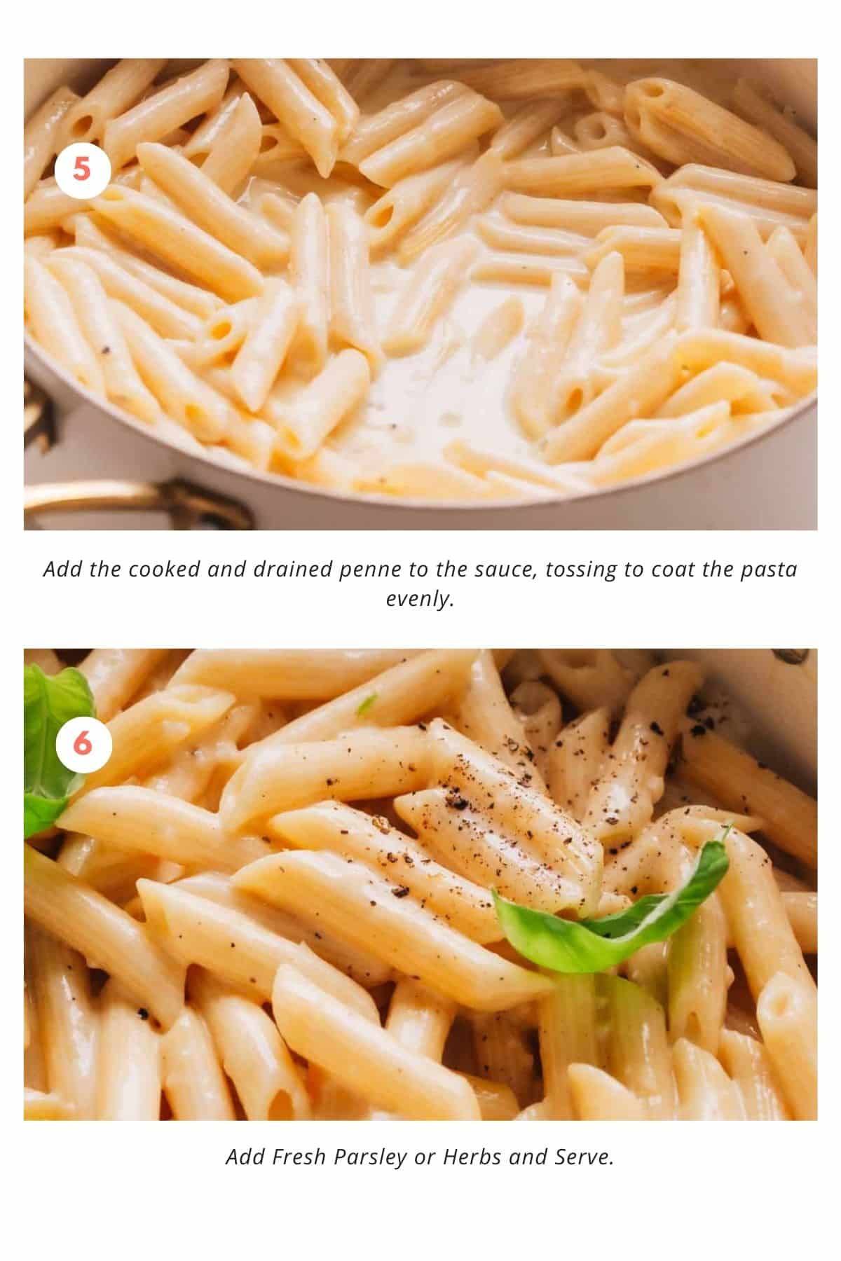 Add pasta in cream and serve