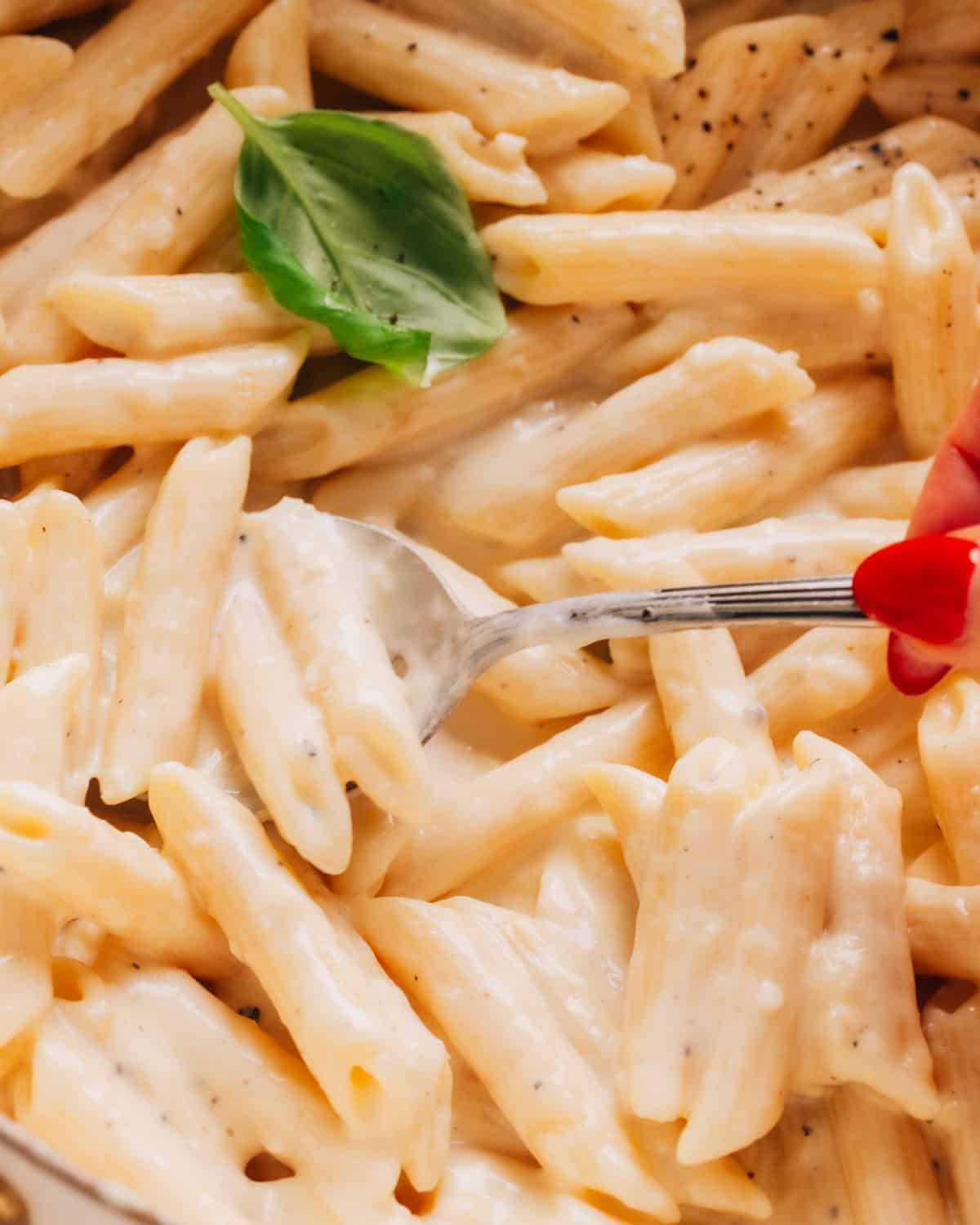 Penne alfredo with a spoon.