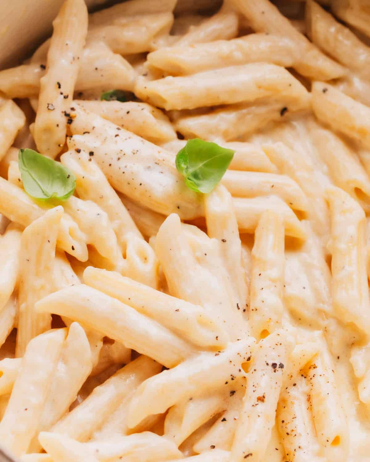 Alfredo Sauce with Penne Pasta in Sauce Pan