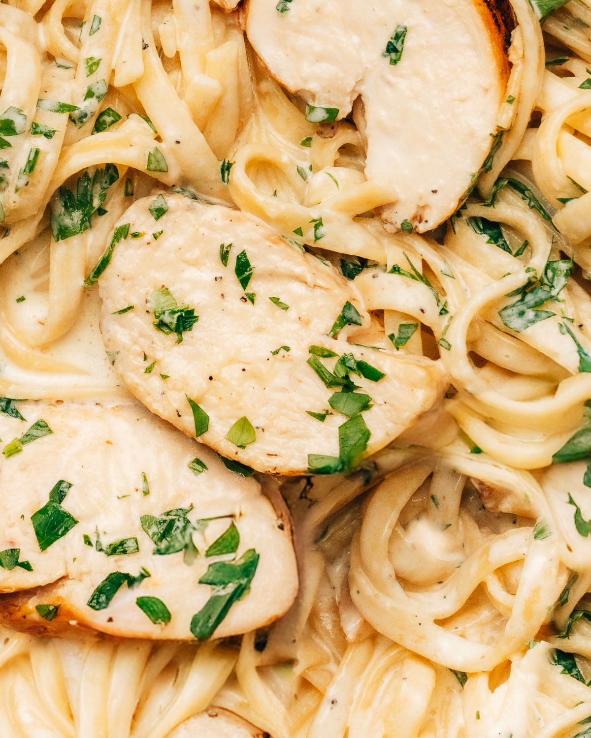 Chicken alfredo recipe close-up shot.