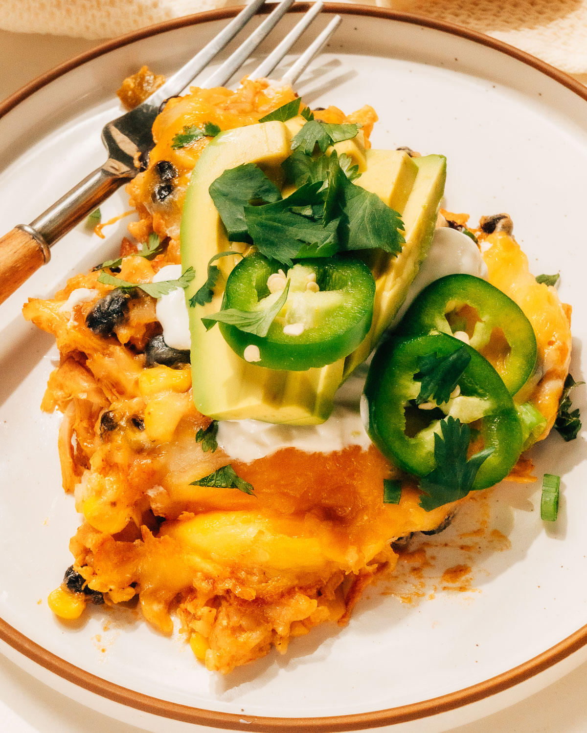 Finished Mexican Chicken Casserole Recipe on a plate with toppings.